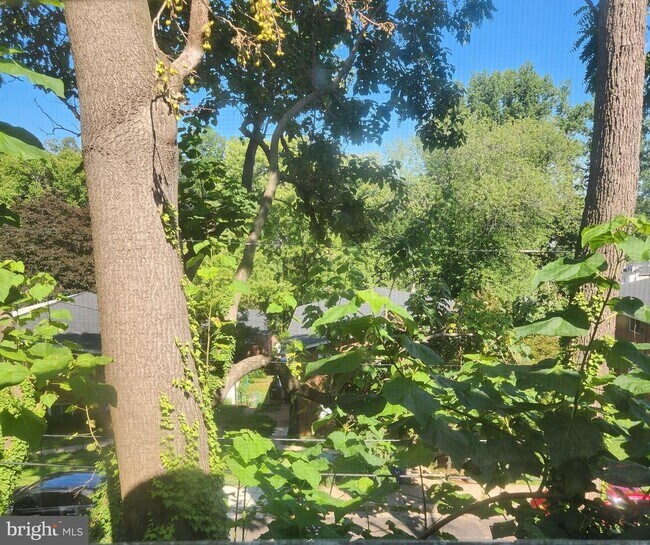 Building Photo - 3817 Birchview Ave