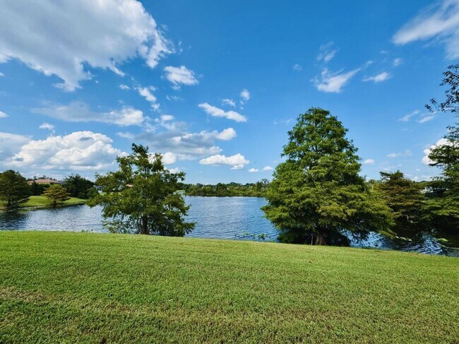 Building Photo - 1 bedroom 1 bath condo in Barclay Place in...