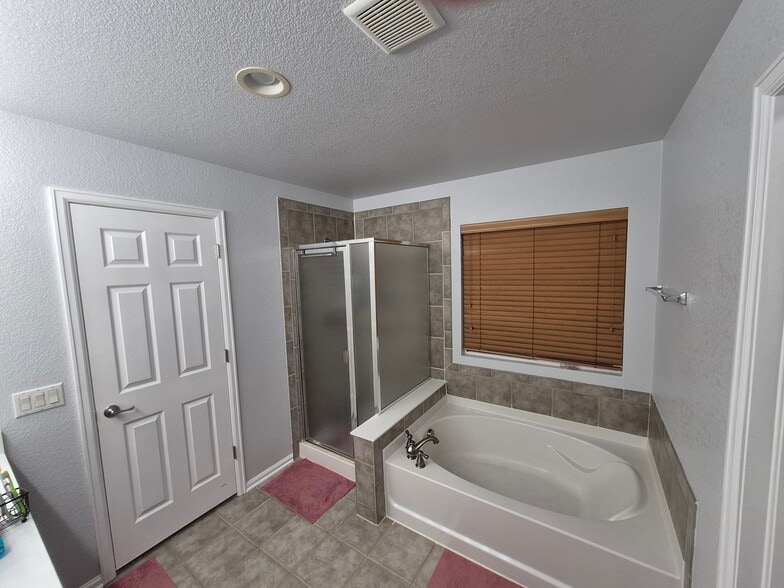 Master bath (5 piece bath + Walk in closet) - 4441 S Johnson Ct