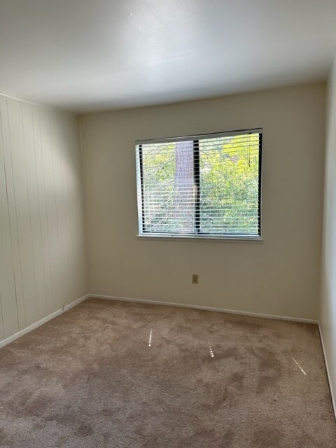 Building Photo - 301 Albion Ct
