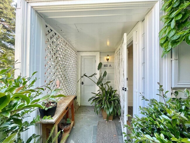 Building Photo - Castro/ Eureka Valley Full Floor Remodeled Victorian Condo in a Garden Setting - PROGRESSIVE