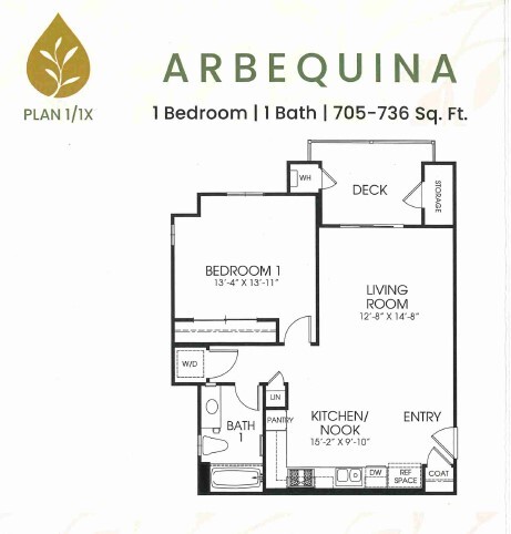 Floorplan - Oliva Apartments