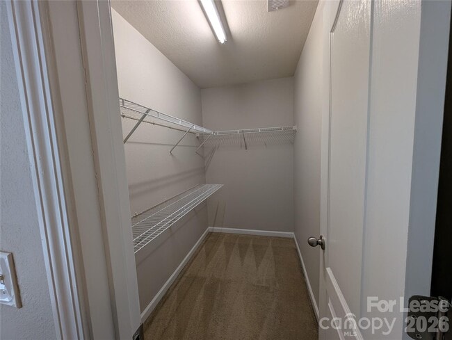 Building Photo - 8419 Candlenut Ln