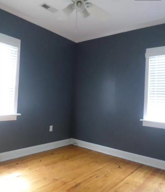 Building Photo - 311 Holly St