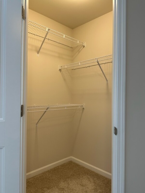 Building Photo - 208 Gum Swamp Trl