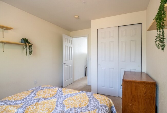 Building Photo - Large 4 Bedroom 2 Bathroom Pet Friendly Home