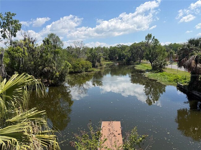 Building Photo - 804 Palm Harbor Ct