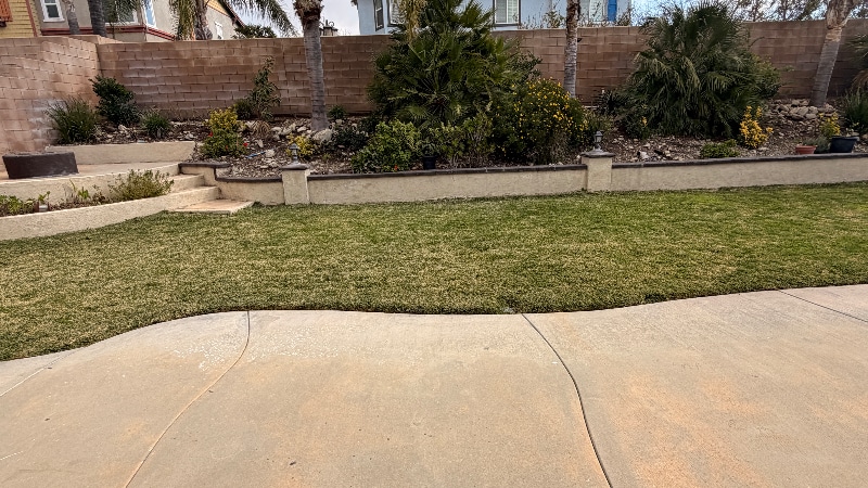 Building Photo - 5535 Pine Leaf Ave