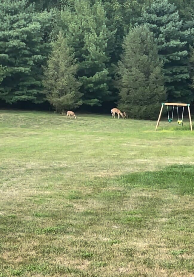 Building Photo - 204 Bohemia Mill Pond Dr