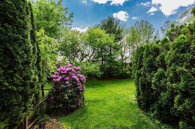Building Photo - Updated Townhouse with Deck, Basement, New...