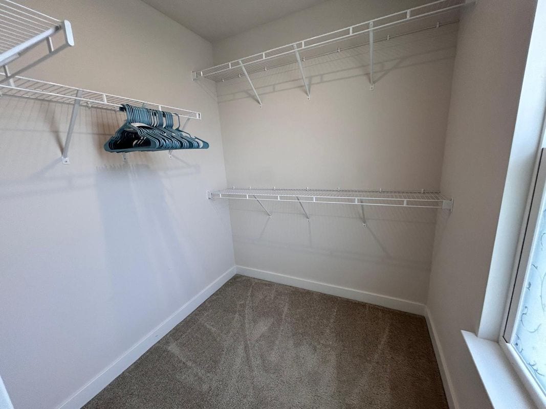 Building Photo - 4780 Kugler Ct