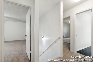Building Photo - 11053 Cedar Park
