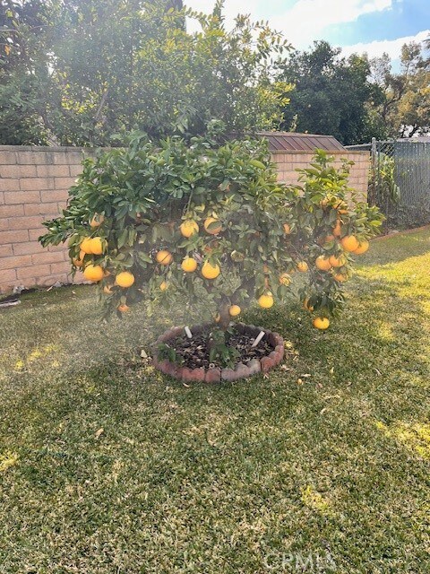 Building Photo - 1054 Mayflower Ave