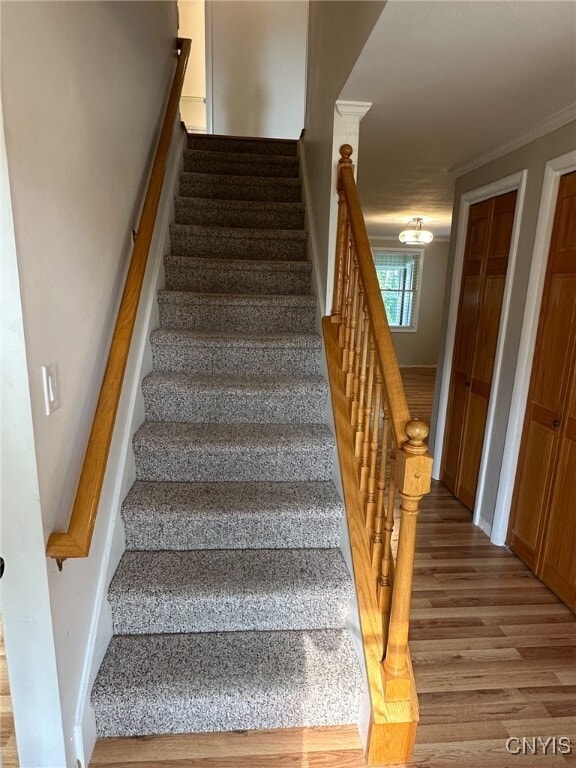 Building Photo - 6846 Crystalwood Dr