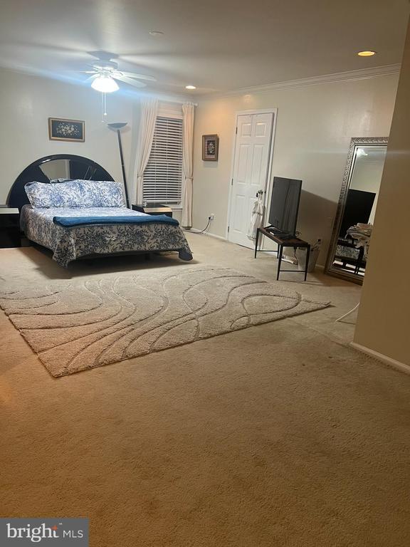 Building Photo - 12429 Willow Falls Dr