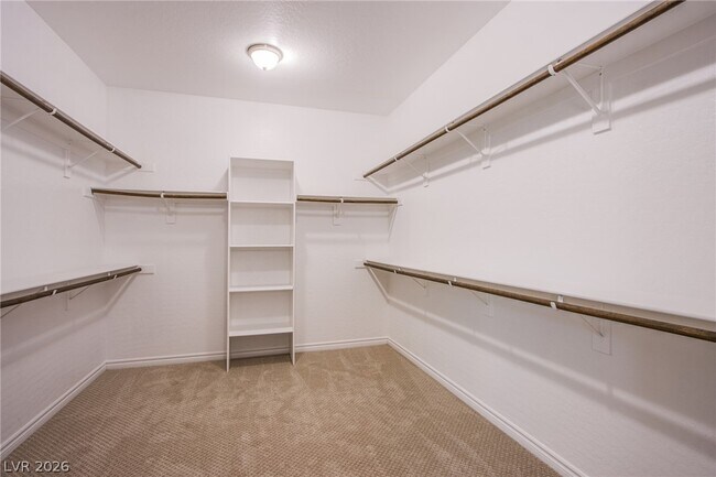 Building Photo - 729 Catalina Aisle St