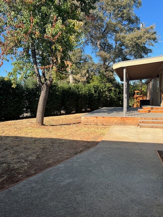 Building Photo - Modern Auburn Retreat—Fully Renovated 3BR ...