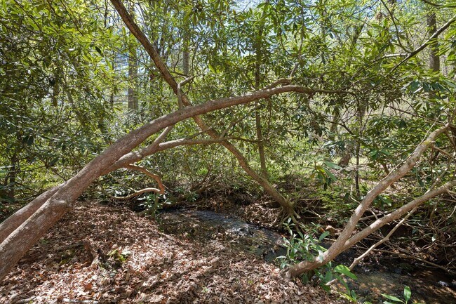 Building Photo - Lovely Home - Beautiful Wooded Setting