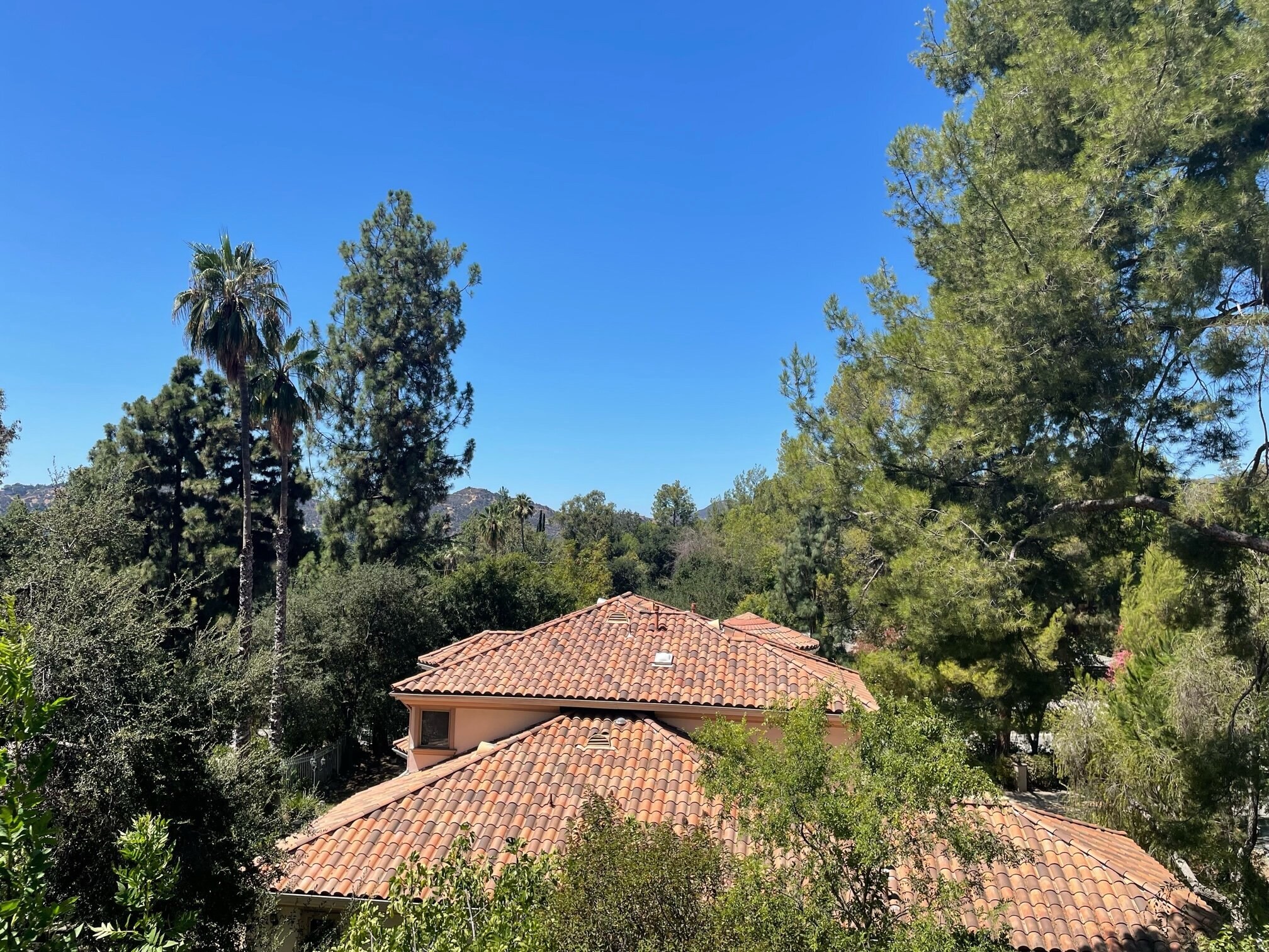 Building Photo - 526 Venado Vista Dr