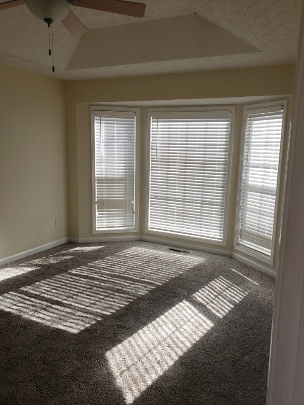 Building Photo - 3708 Willow Tree Cir