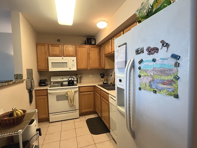 Building Photo - 345 N La Salle Dr