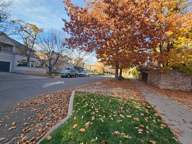 Building Photo - Cherry Creek Beautiful and Bright 1 Bed 1 Bath Condo