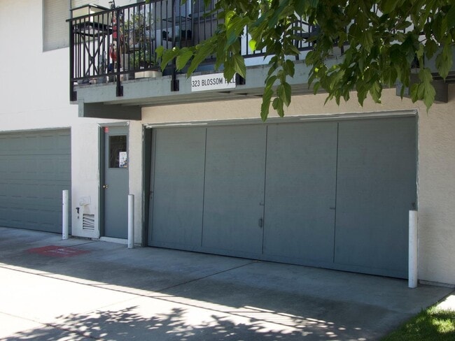 Building Photo - 323 Blossom Hill Rd
