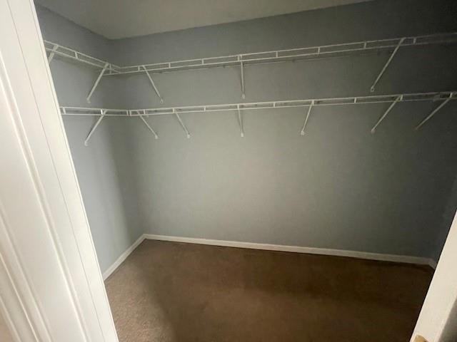 Building Photo - 1105 Thornebrooke Ct