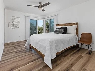 Master Bedroom - 3421 Park Blvd