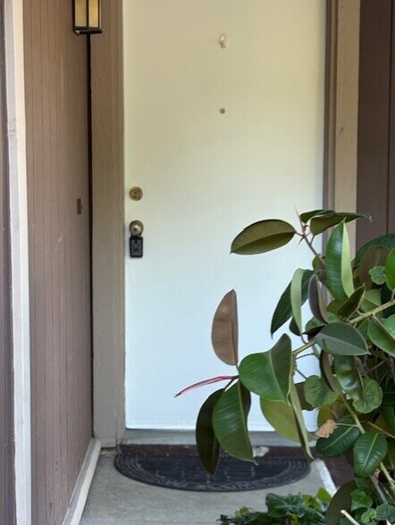 Front Door - 28875 Conejo View Dr