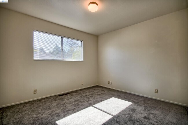 Building Photo - 127 Walti St
