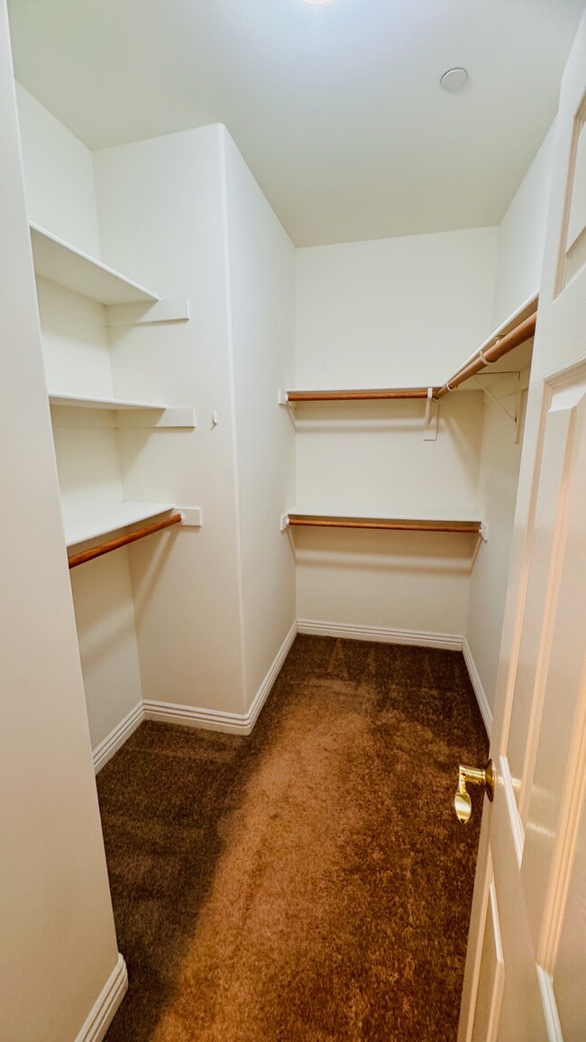 Primary bedroom's HUGE walk-in closet - 2107 Plant Ave