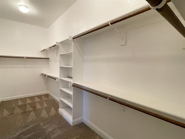 Building Photo - 2621 Flowing Springs Dr