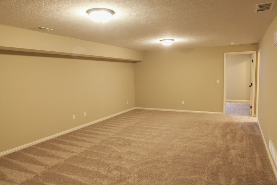 Basement - 3620 Chardonnay Ct