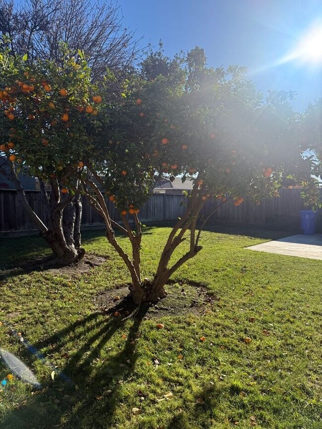 Building Photo - Beautiful 3 Bedrooms 2 Bath Home in Fremont