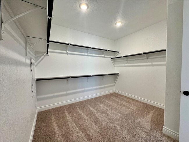 Building Photo - 1301 White Daisy Ln