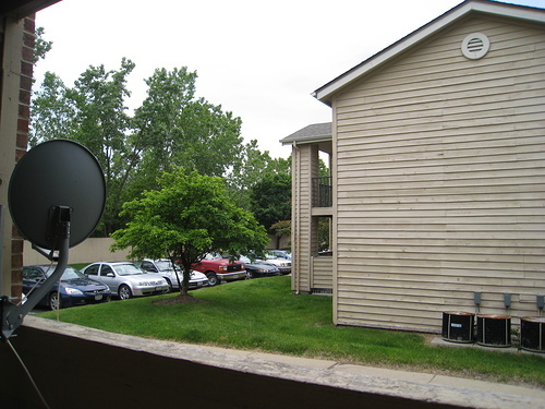 View from Porch - 1921 N Hicks Rd