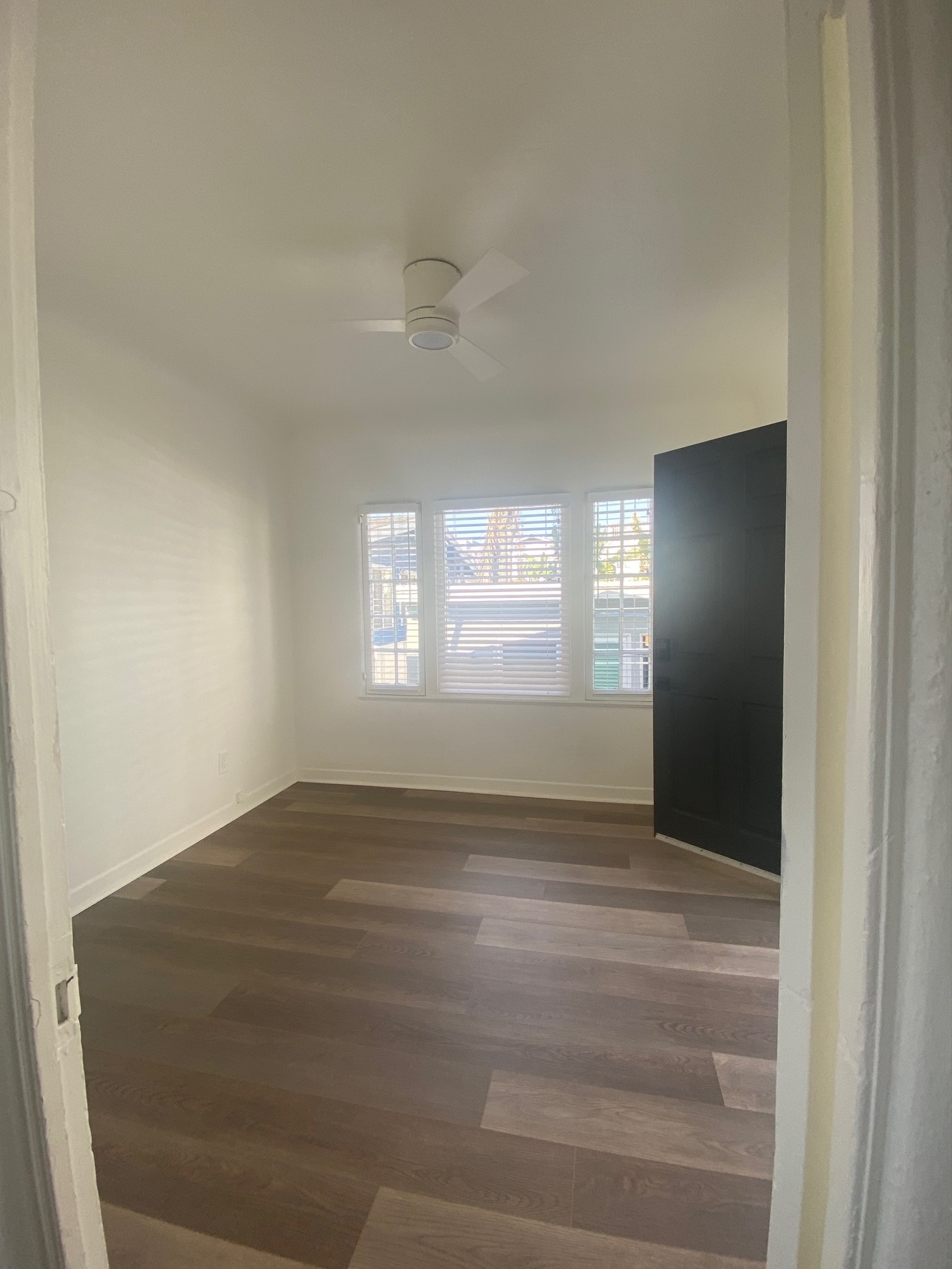 Primary Bedroom - 2452 Palm Dr