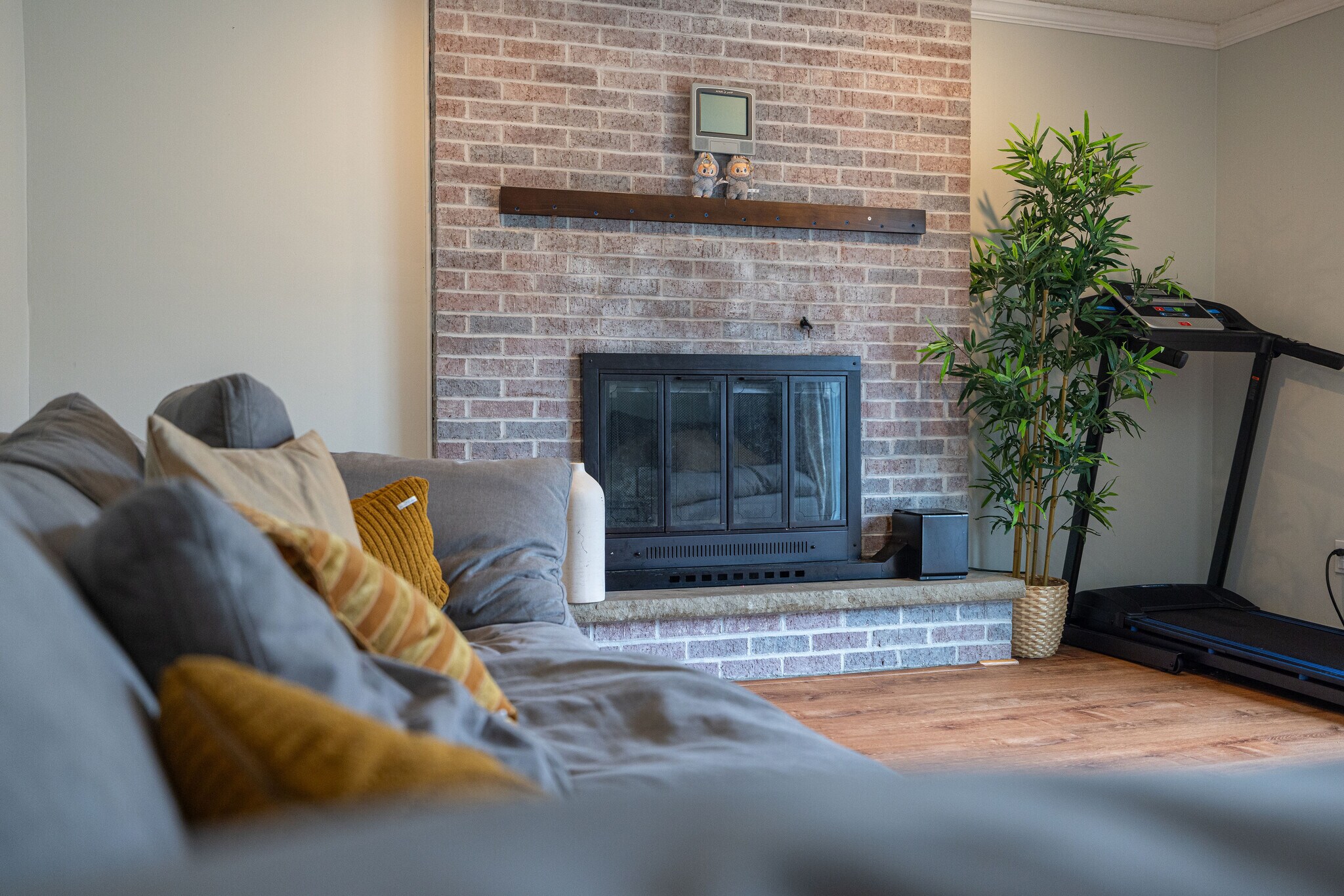 Building Photo - 537 Vine Ln