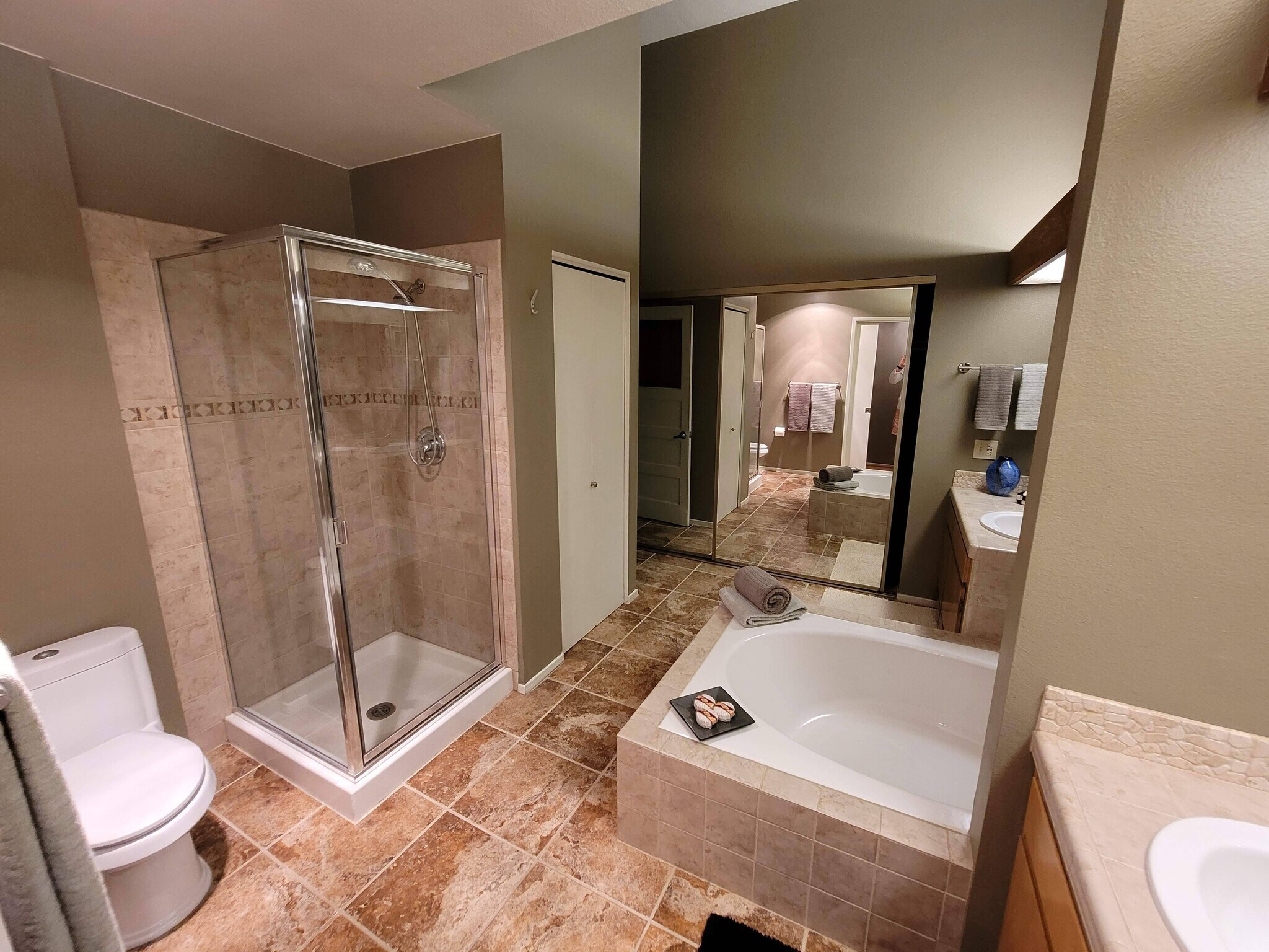Large Spa Like Bath - 7909 Caminito Dia