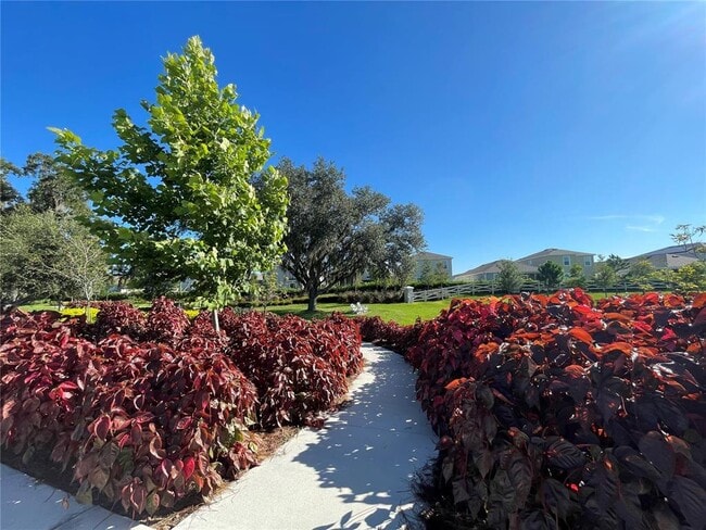 Building Photo - 3417 Amber Waves Dr