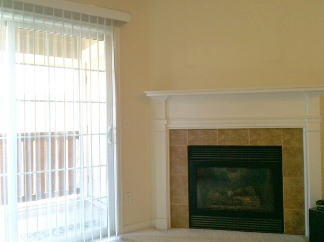 Fireplace - 1343 Lake Circle