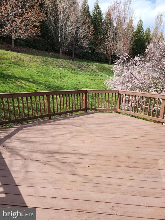 Building Photo - 507 Sylvan Ct