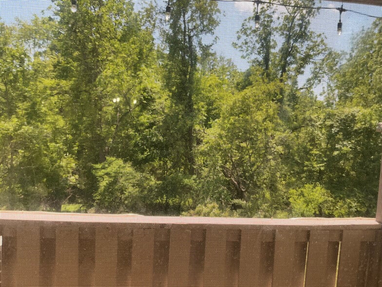 View from Balcony - 403 Stockton Ct
