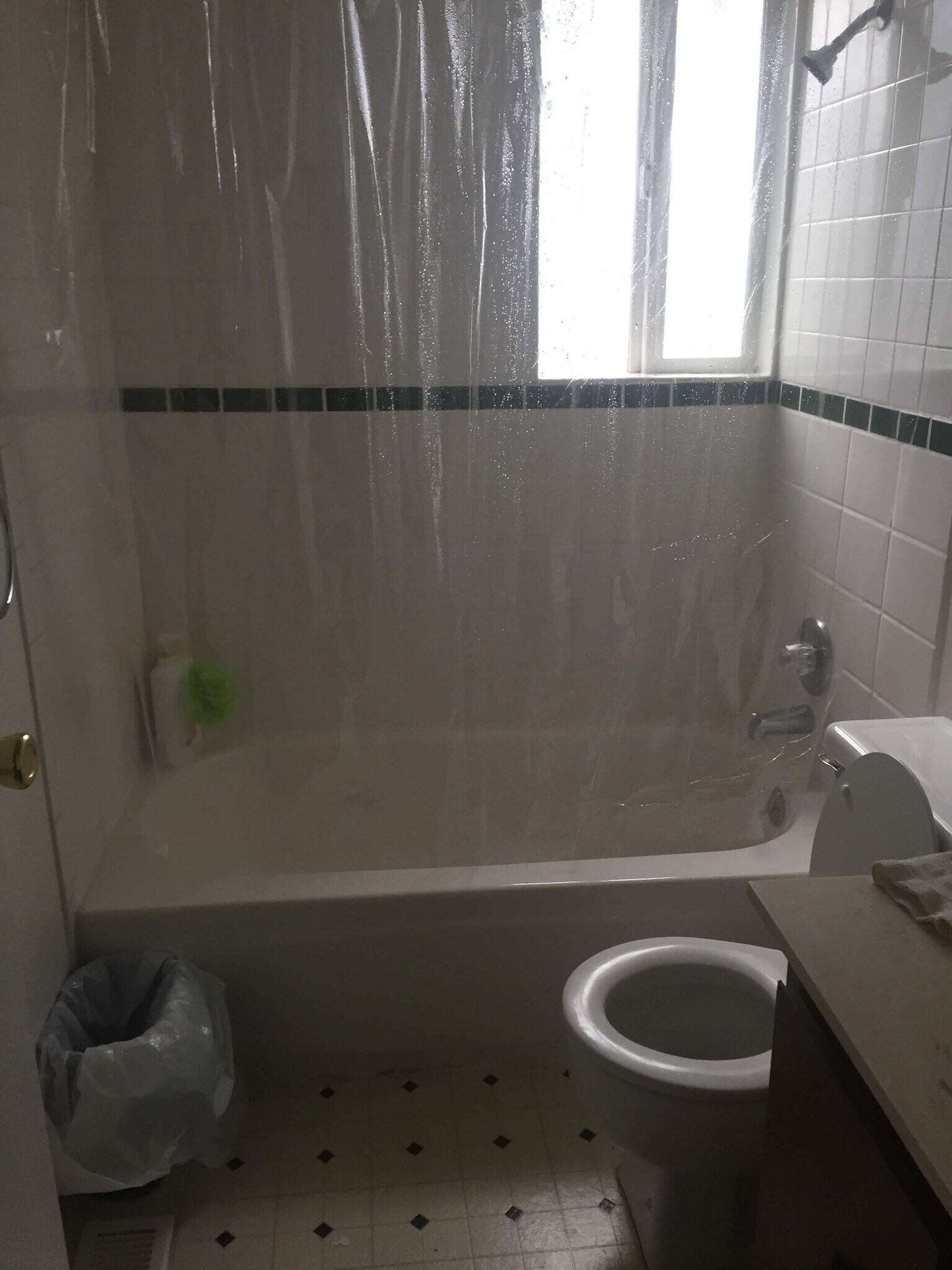 sharing bathroom with one male - 12312 NE 134th St