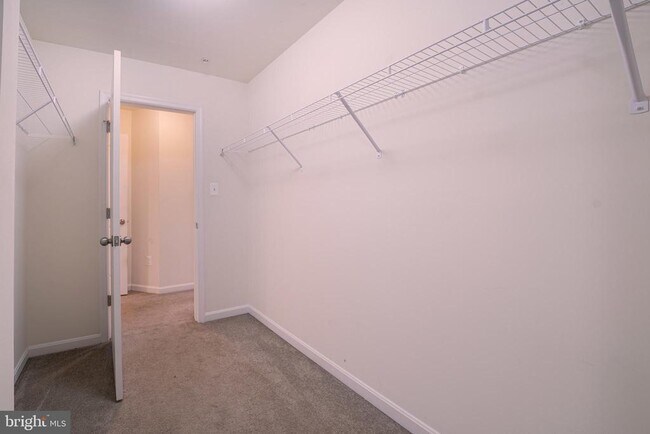 Building Photo - 5014 Sir Lucas Ln