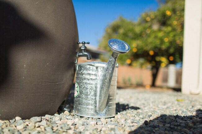 Building Photo - Prime Old Town Orange location