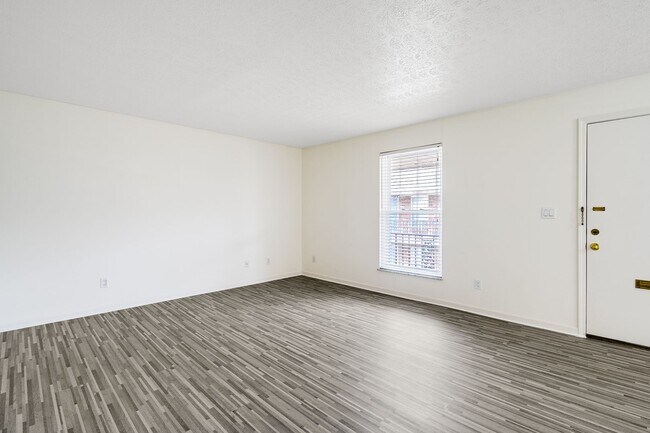 Interior Photo - The Montleone Apartments