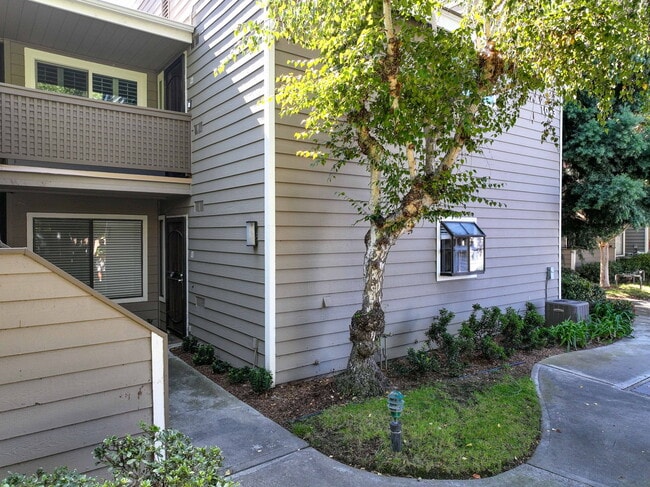 Building Photo - 1083 Shadowridge Dr