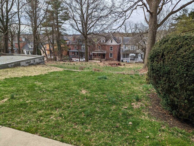 Rear Yard - 402 N Main St